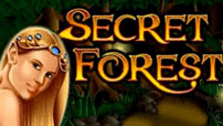 Secret Forest